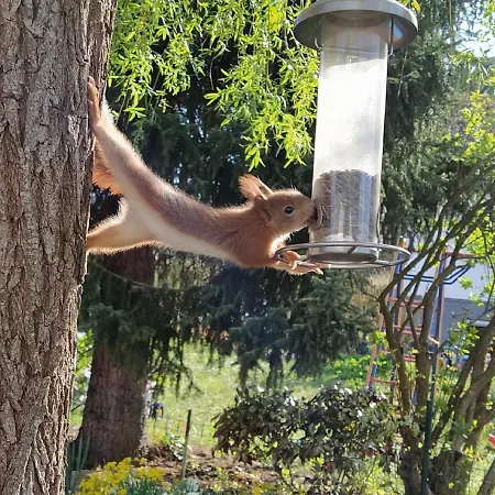 Tauberperle - Exklusives Ferienapartment Lauda-Königshofen