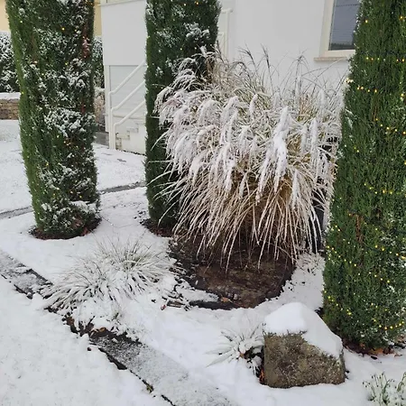 Tauberperle - Exklusives Ferienapartment Appartement